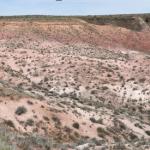 2023OTRA_653 (May 07, 2023)